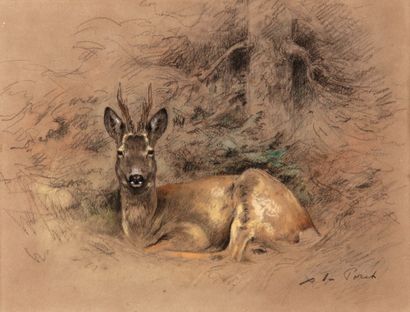 Brocaded paper 

Charcoal and pastel

signed...