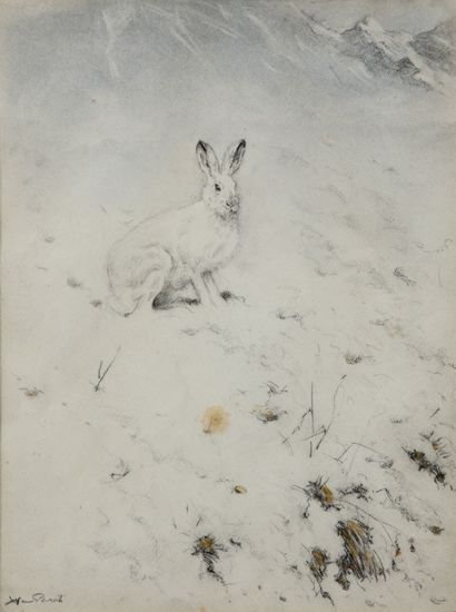 Hare in the snow

Charcoal and pastel 

Signed...