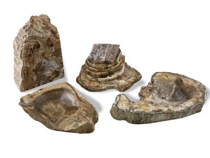 LOT DE MALACHITE, BOIS PETRIFIE ET AGATE...