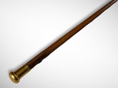 CANNE XIXème Siècle à pommeau doublé or,...