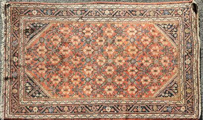 TAPIS FERRAHAN (chaîne et trame en coton,...