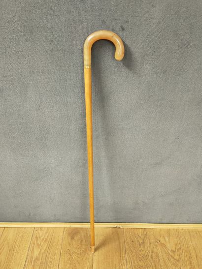 CANNE A POMMEAU bec de corbin, Circa 1930...