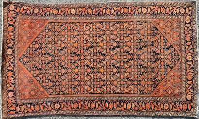 TAPIS SAROUK (chaîne et trame en coton, velours...