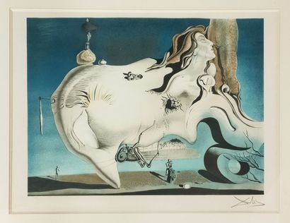 Salvador DALI (1904-1989)

Le Grand Masturbateur

LITHOGRAPHIE...