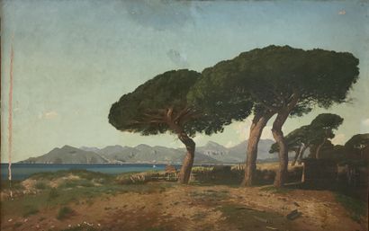 Joseph CONTINI (1827-c. 1900)

Pines in the...