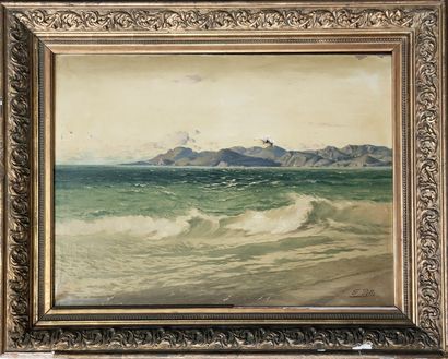 Félix PILLE (1848-1919)

View of the bay...
