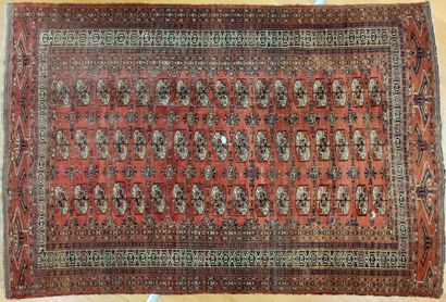 BOUKHARA TEKKE RUG (warp, weft and wool pile),...