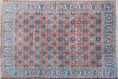 VERAMINOUS CARPET (cotton warp and weft,...