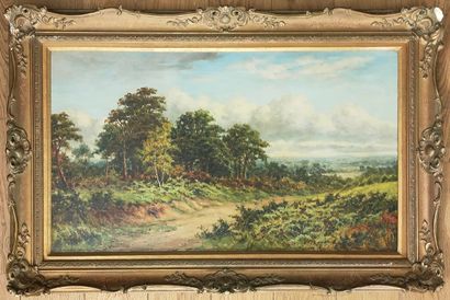 
Benjamin Williams LEADER (1831-1923)




Path...