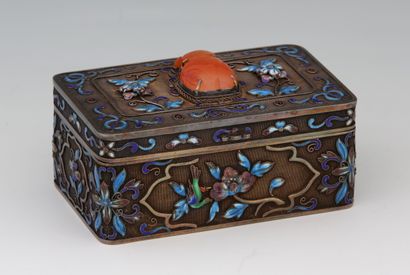 CHINE, début du XXème Siècle

ELEGANTE BOITE...