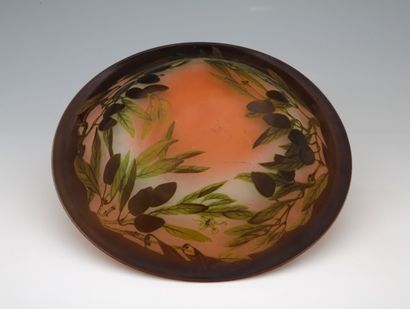 Ets Gallé (1904-1936)

SUSPENSION

Cup in...