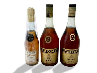 3 BOTTLES OF COGNAC (70 cl)

2 THREE STARS...