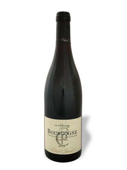 6 BOTTLES BURGUNDY PINOT NOIR PASCAL CLEMENT...