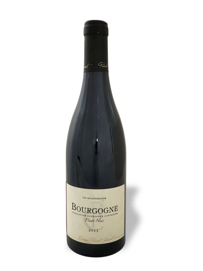 11 BOTTLES BURGUNDY PINOT NOIR PASCAL CLEMENT...