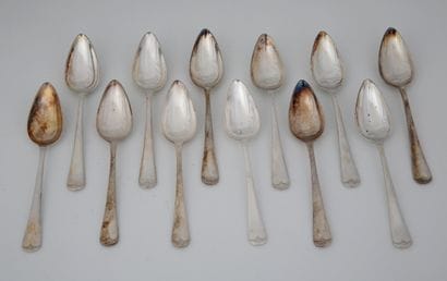 SET OF 12 silver plated PAMPLEMOUSSE SPoons...