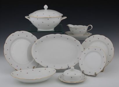 SELTMANN WEIDEN - 59 PIECES TABLE SET in...