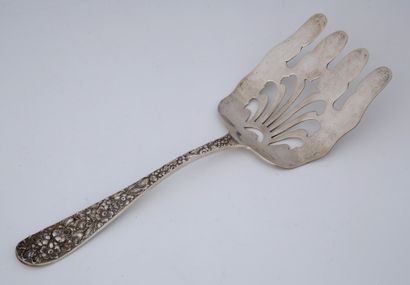 ASPARAGUS SPREADER in silver United States...