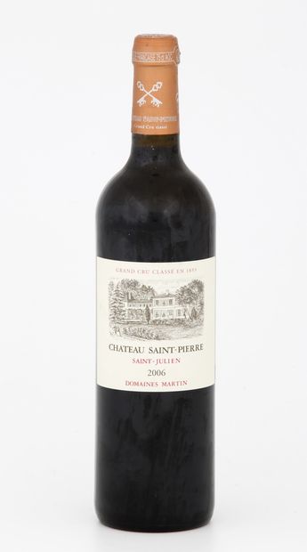 5 Bottles CHATEAU SAINT PIERRE - Saint-Julien

2006...