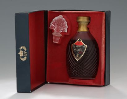 1 BOTTLE (75 cl) ARMAGNAC DE CASTELFORT XO...