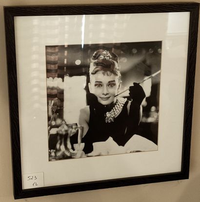 DEUX REPRODUCTIONS ENCADREES, photos de Audrey...
