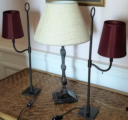 LOT COMPRENANT :

Une PAIRE DE LAMPES A CREMAILLERE...