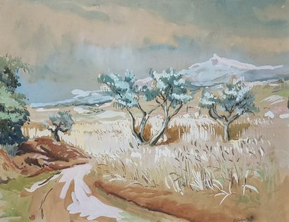 Alfred VACHON (1907- ?)

Olive trees in Provence...