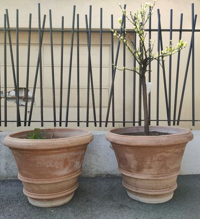 Pair of modern truncated cone-shaped garden...