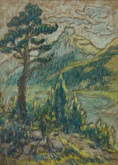 Jean-Marc PAUL (XXth Century)

The Cove

PASTEL...
