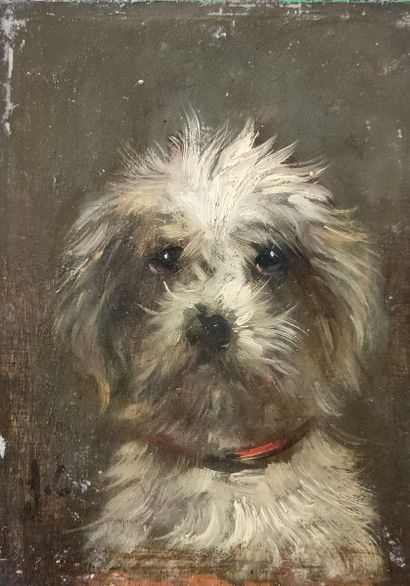 Jules CHARDIGNY (1842-1892)

Dogs

PAIR OF...