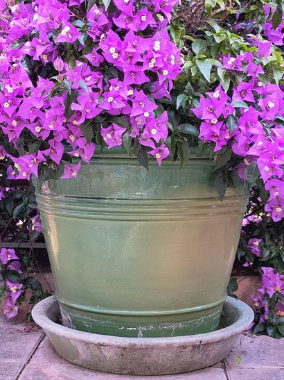 
NON VENU



BIOT - VASE DE JARDIN TRONCONIQUE...