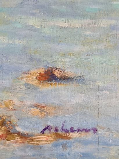 Schems-Eddine SAHRAOUI (Born in 1948)

View...