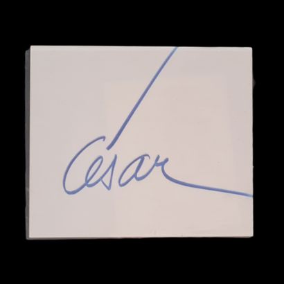 CESAR (1921-1998)

SIGNATURE WITH LIGHT mounted...