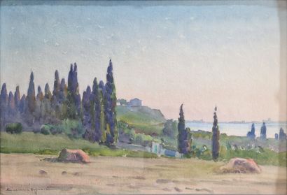 Casimir RAYMOND (1870-1956)

On the heights...