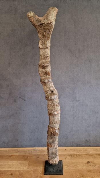 MALI, Dogon (BURKINA, Mossi?)

Interior scale....