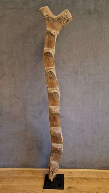 MALI, Dogon (BURKINA, Mossi?)

Interior scale....
