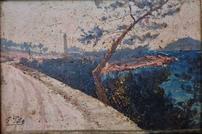 Felix PILLE (1848-1919)

Two seaside landscapes

OIL...