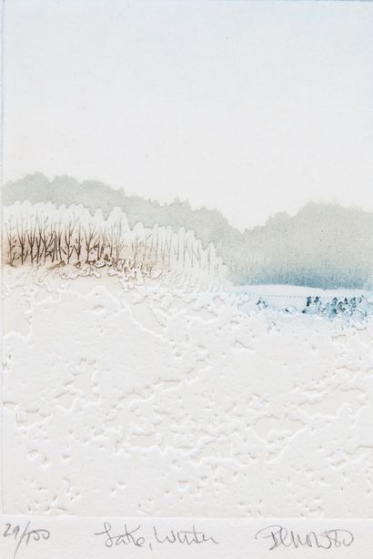 Sheila BENOW (Born in 1943)

39 ENGRAVINGS...