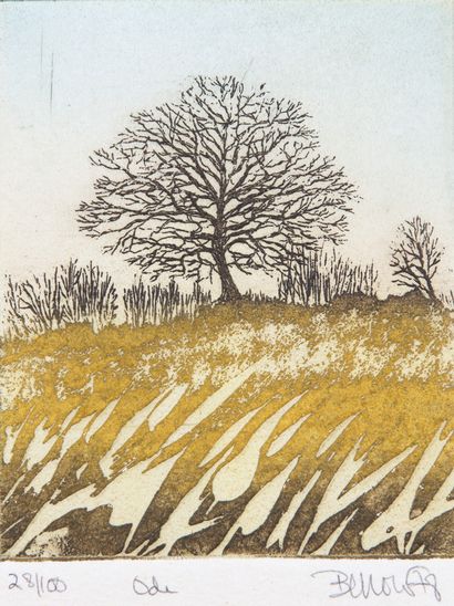 Sheila BENOW (Born in 1943)

39 ENGRAVINGS...