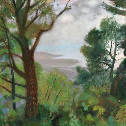 René GENIS (1922-2004)

Hole above Bandol

OIL...