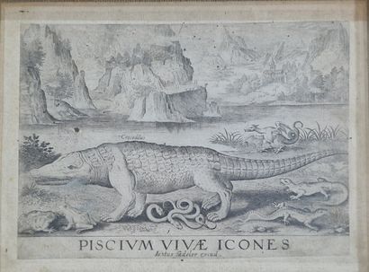 9 GRAVURES OU ESTAMPES ANIMALIERES essentiellement...