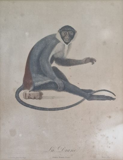 9 GRAVURES OU ESTAMPES ANIMALIERES essentiellement...