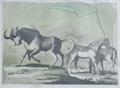 9 GRAVURES OU ESTAMPES ANIMALIERES essentiellement...