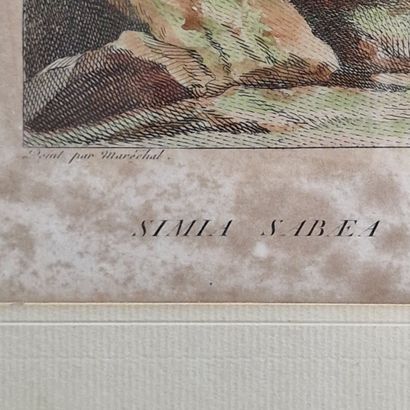 9 GRAVURES OU ESTAMPES ANIMALIERES essentiellement...