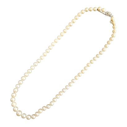 NECKLACE composed of a fall of pearls of...