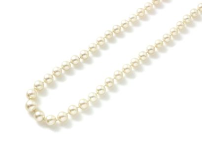 NECKLACE composed of a fall of pearls of...