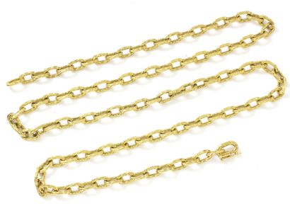 LONG CHAIN in gold 750 thousandth composed...