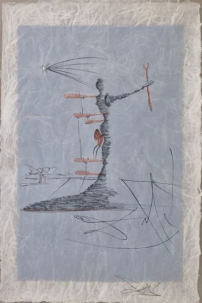 Salvador DALI (1904-1989)
La femme dans le...