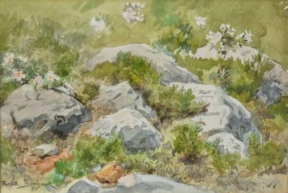 Rosa BONHEUR (1822-1899)
Les rochers
AQUARELLE...