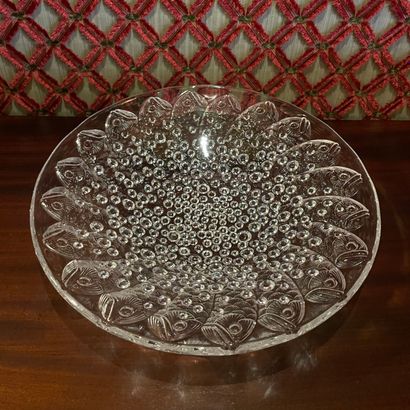 LALIQUE France - COUPE ROSCOFF - Moderne...