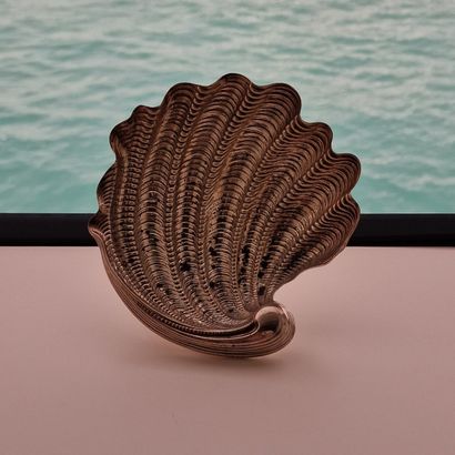Gianmario BUCCELATTI - COUPE COQUILLE sur...